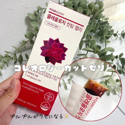 アップルサイダービネガークリスピー/FOODOLOGY/その他飲むお酢を使ったクチコミ(2枚目)
