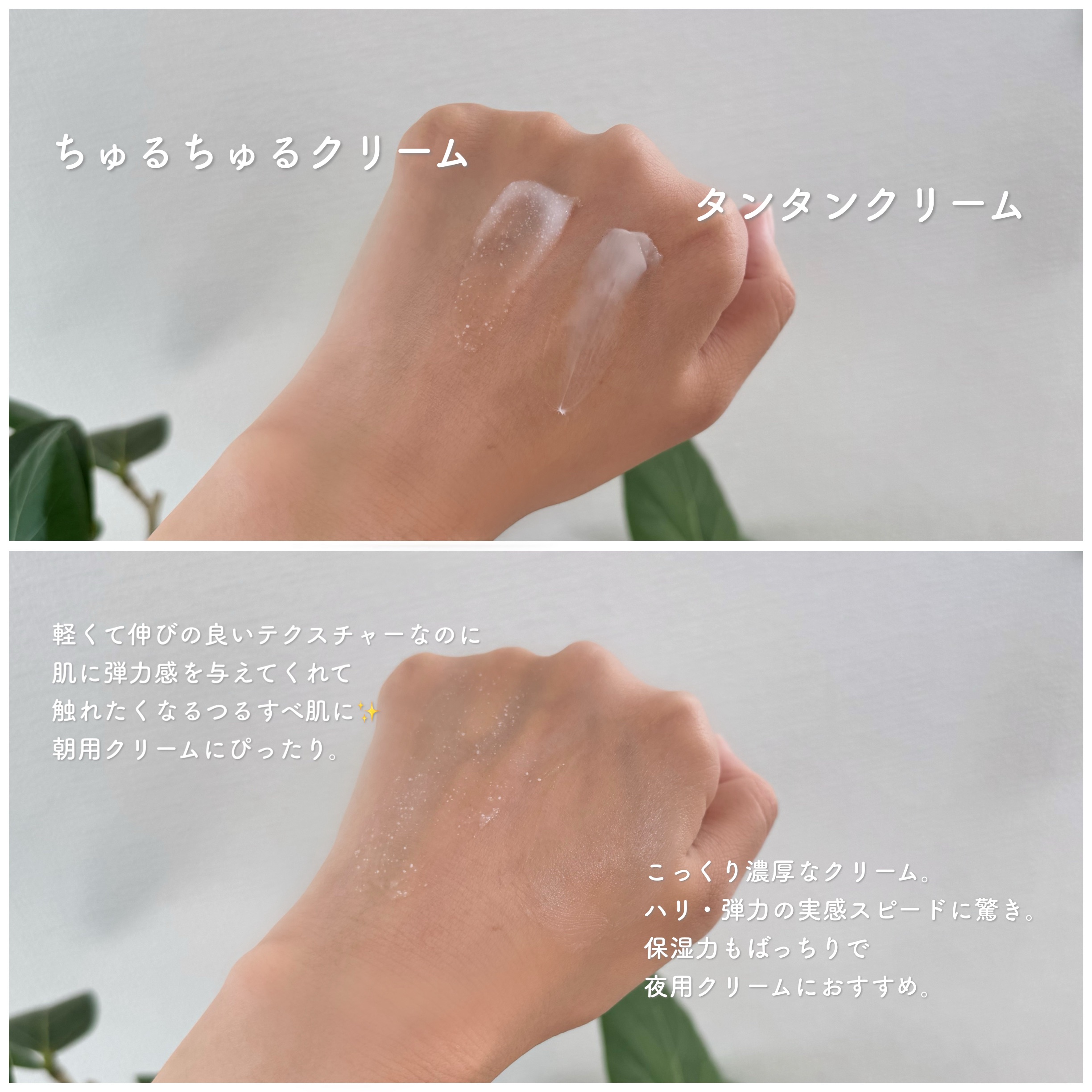 バイオヒールボ プロバイオダーム 3Dリフティングクリーム/BIOHEAL BOH/フェイスクリームを使ったクチコミ（2枚目）