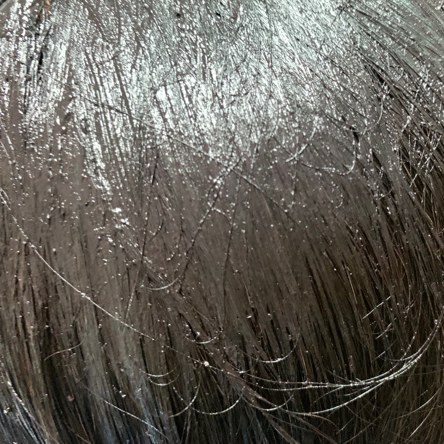 HEALCA カラートリートメント smooth/HEALCA/ヘアカラーを使ったクチコミ(2枚目)