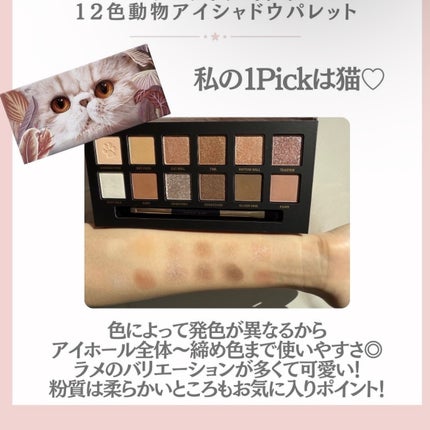 エクスプローラ12色 動物アイシャドウパレット/PERFECT DIARY/アイシャドウパレットを使ったクチコミ(4枚目)