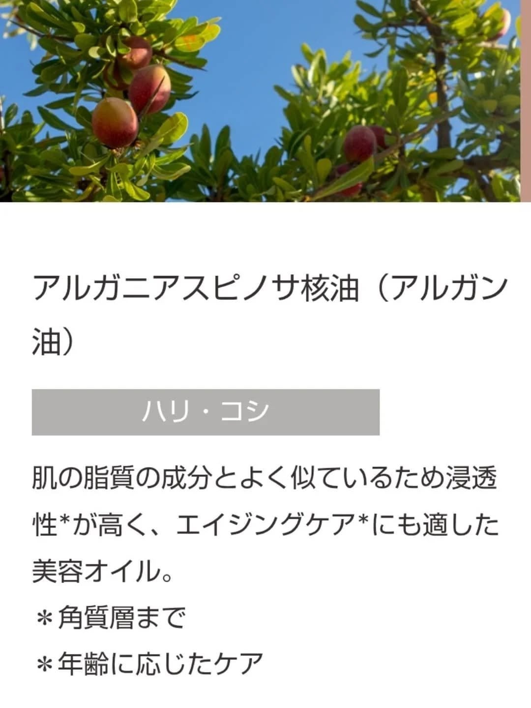 ディープモイストオイル/MOGANS/ヘアオイルを使ったクチコミ(7枚目)