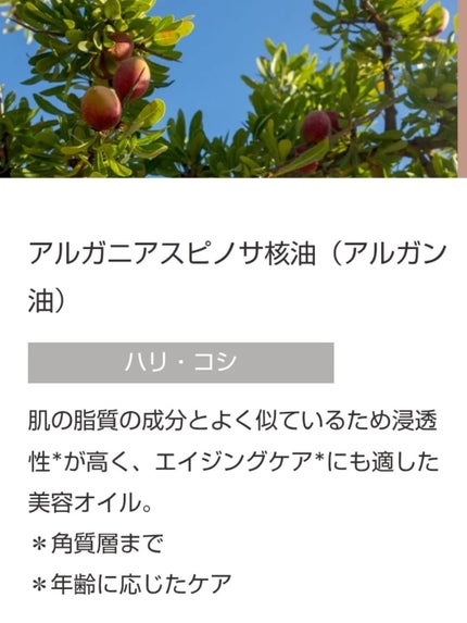 ディープモイストオイル/MOGANS/ヘアオイルを使ったクチコミ(7枚目)