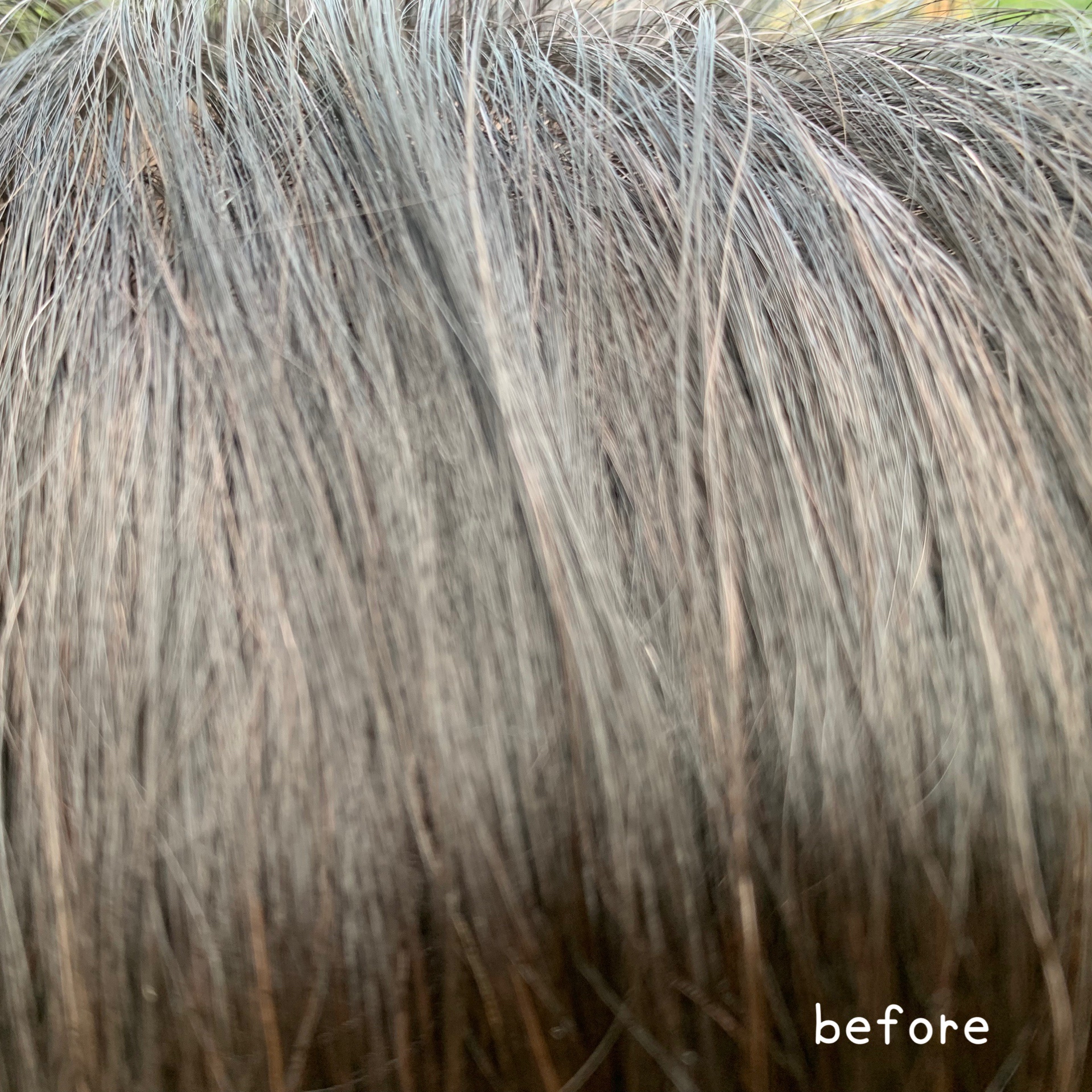 HEALCA カラートリートメント smooth/HEALCA/ヘアカラーを使ったクチコミ（3枚目）