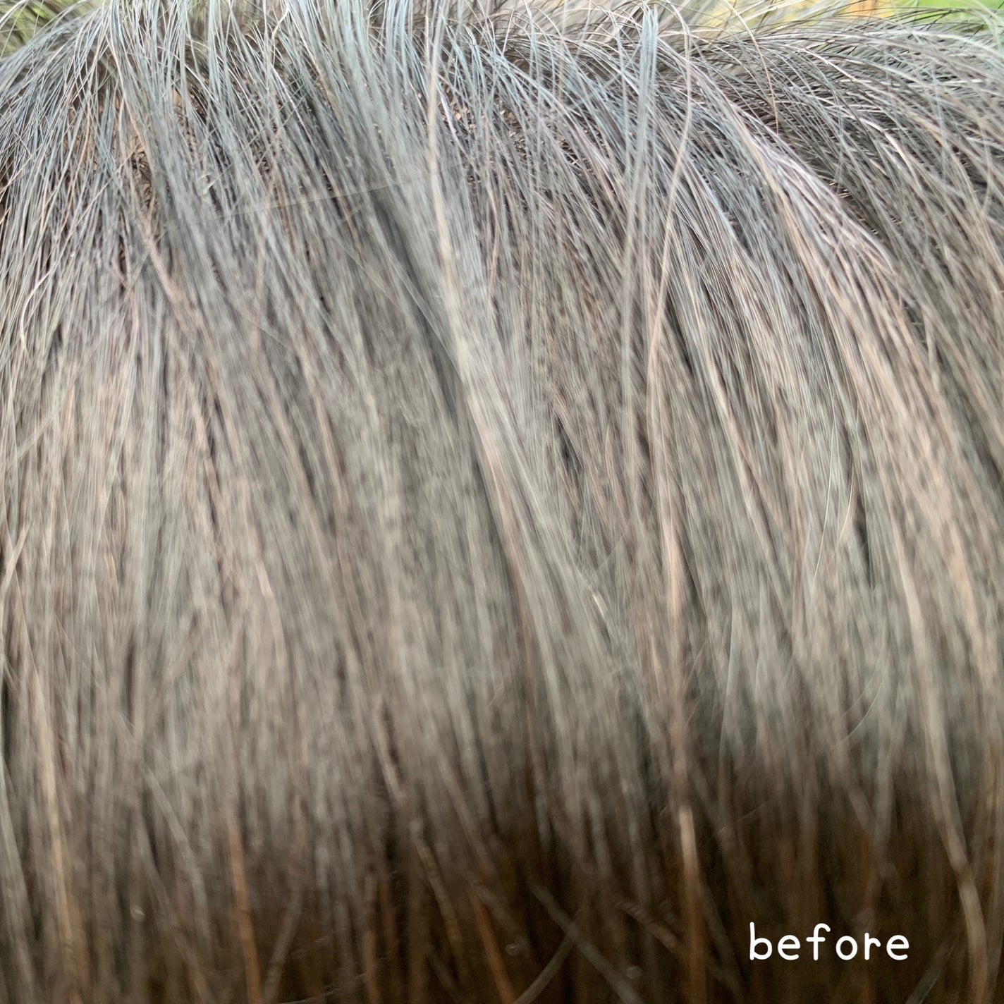 HEALCA カラートリートメント smooth/HEALCA/ヘアカラーを使ったクチコミ(3枚目)