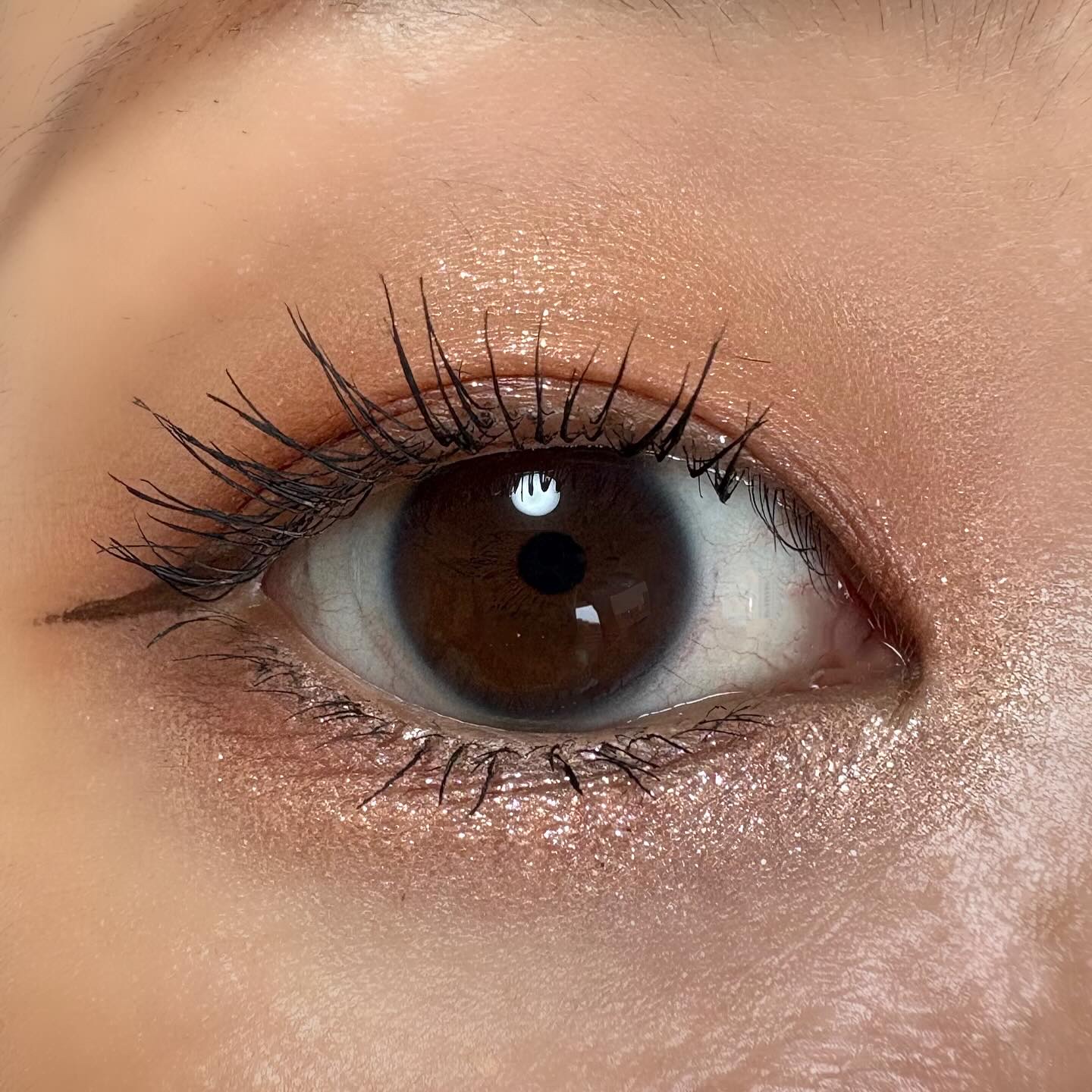 アイコアパレット/espoir/アイシャドウパレットを使ったクチコミ（3枚目）