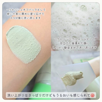 グリーントマトクレイマスククレンザー/FULLY/洗い流すパック・マスクを使ったクチコミ(3枚目)