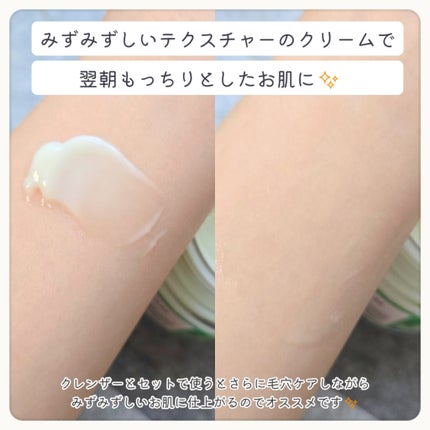 グリーントマトクレイマスククレンザー/FULLY/洗い流すパック・マスクを使ったクチコミ(5枚目)