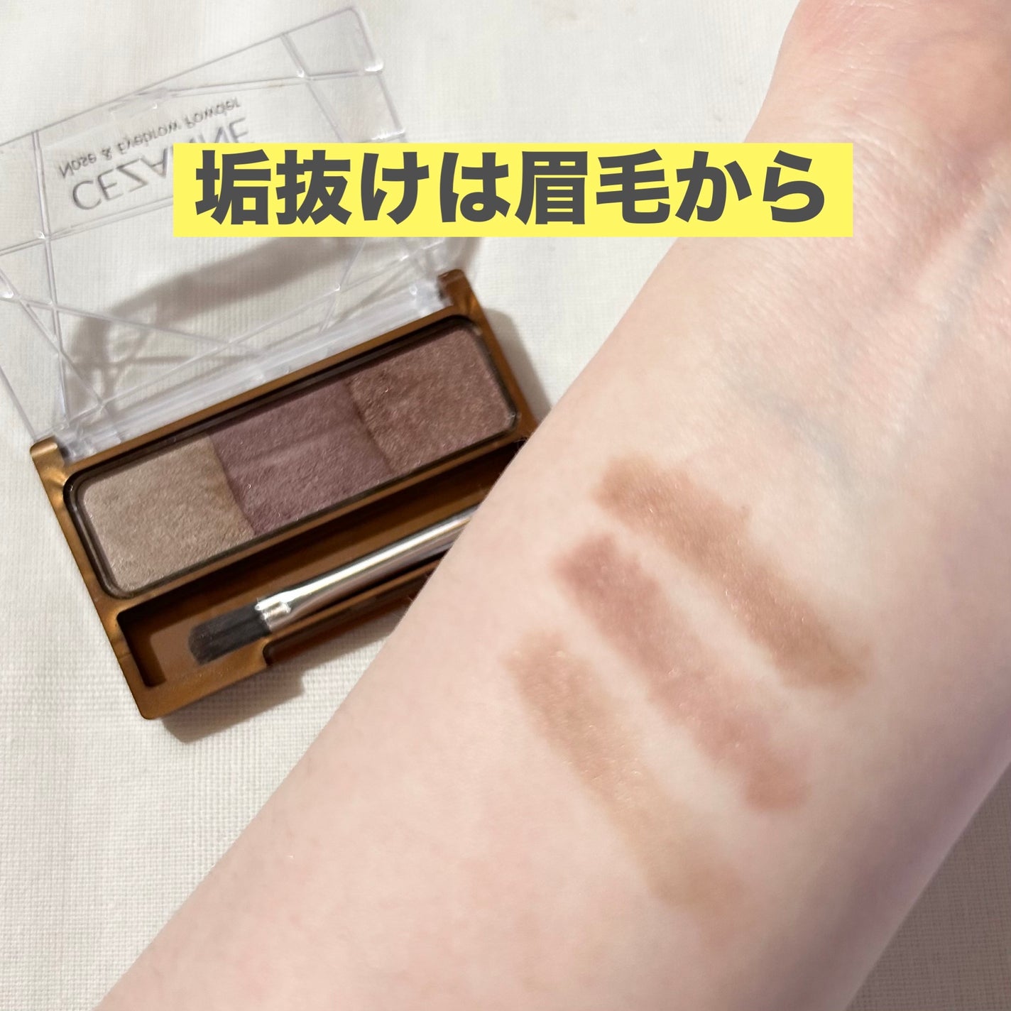 ノーズ&アイブロウパウダー/CEZANNE/パウダーアイブロウを使ったクチコミ(1枚目)