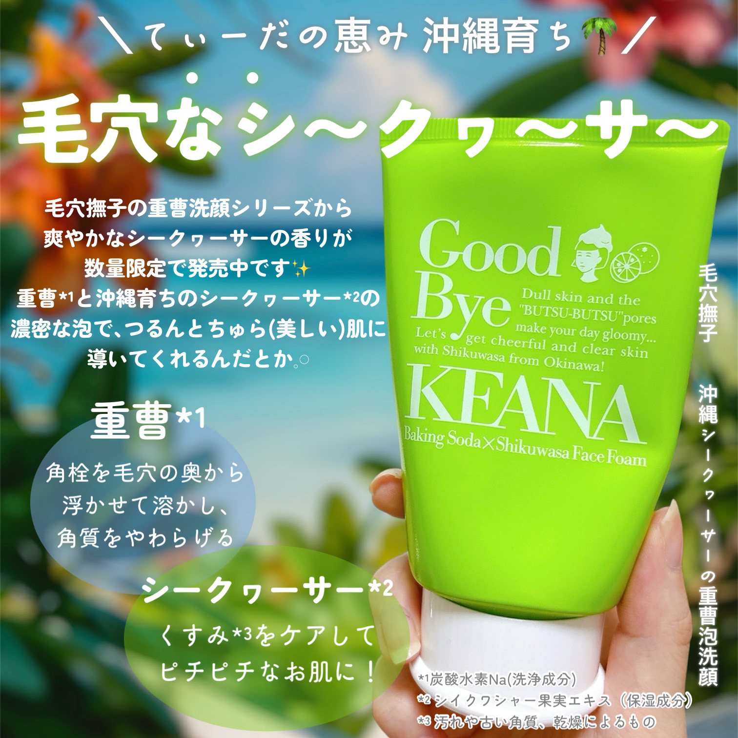 毛穴撫子 沖縄シークヮーサーの重曹泡洗顔/毛穴撫子/泡洗顔を使ったクチコミ（2枚目）