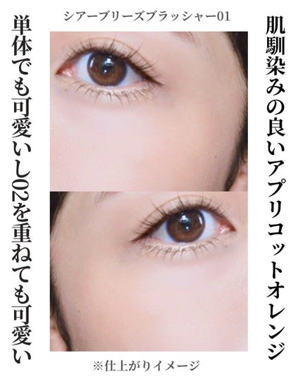 シアーブリーズブラッシャー/wakemake/パウダーチークを使ったクチコミ(9枚目)