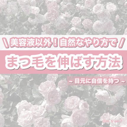 DHC ヘム鉄/DHC/健康サプリメントを使ったクチコミ(1枚目)