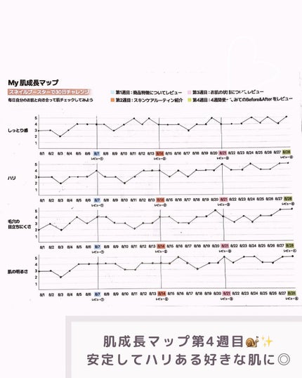 スネイルソリューション スキンブースター(R)/ネイチャーリパブリック/ブースター・導入液を使ったクチコミ(6枚目)