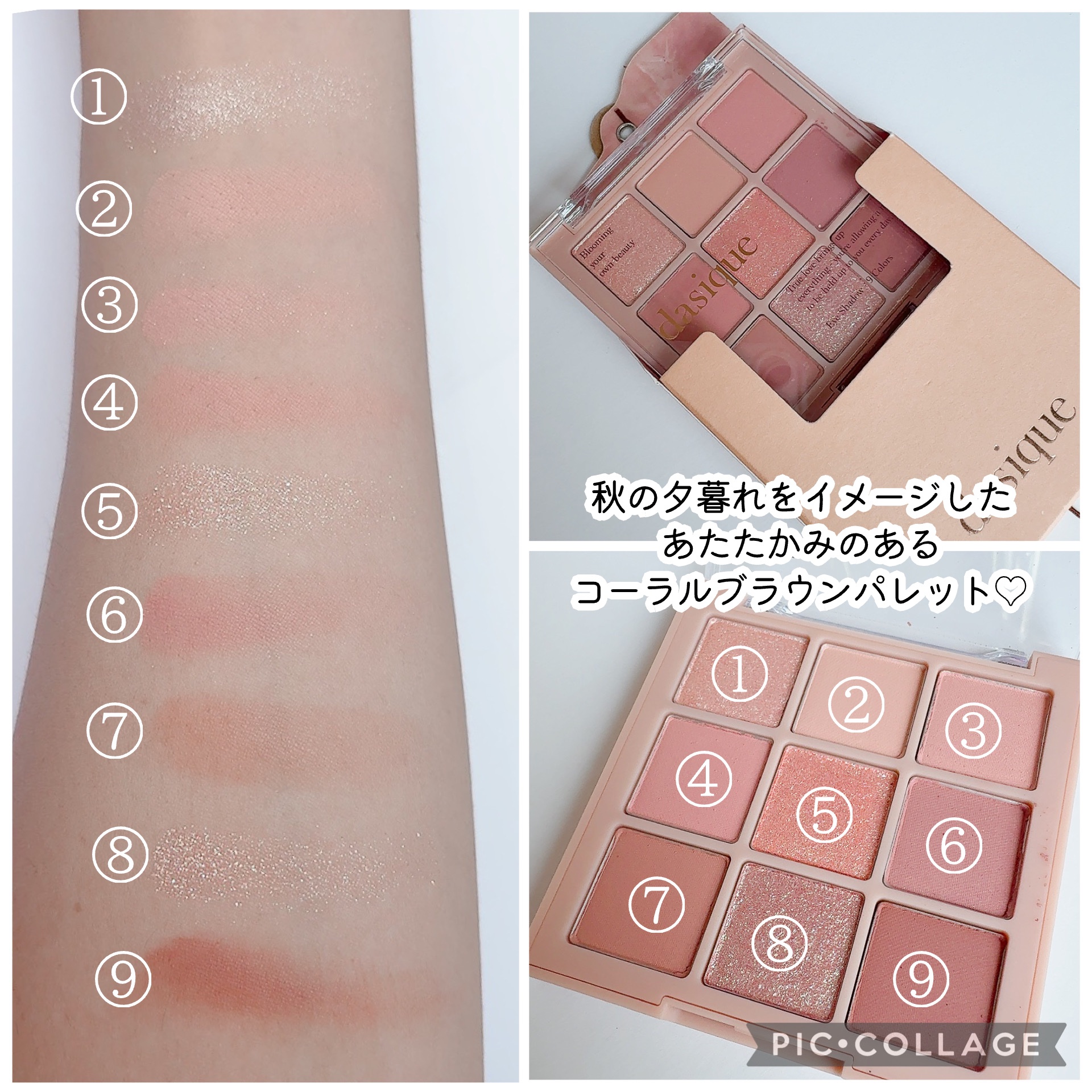 シャドウパレット/dasique/アイシャドウパレットを使ったクチコミ（3枚目）