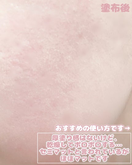 ビーベルベット カバークッション/espoir/クッションファンデーションを使ったクチコミ(5枚目)