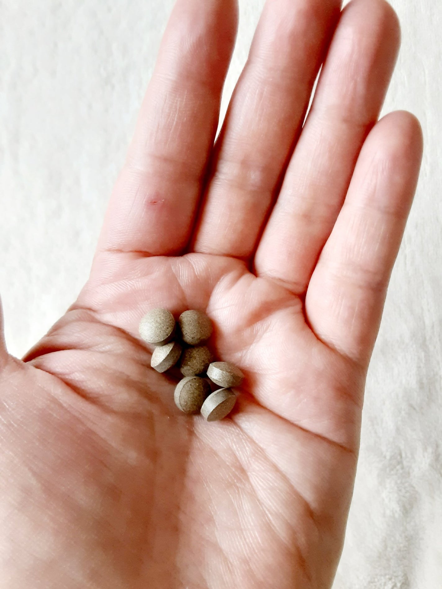 食べてもDiet/井藤漢方製薬/ボディサプリメントを使ったクチコミ(3枚目)