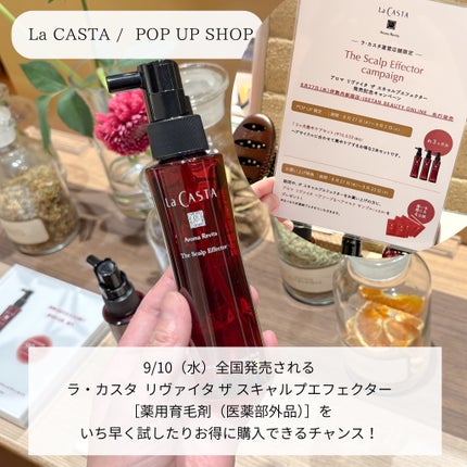 ラ・カスタ アロマ リヴァイタ ザ スキャルプエフェクター【医薬部外品】/ラ・カスタ/頭皮ローションを使ったクチコミ(5枚目)