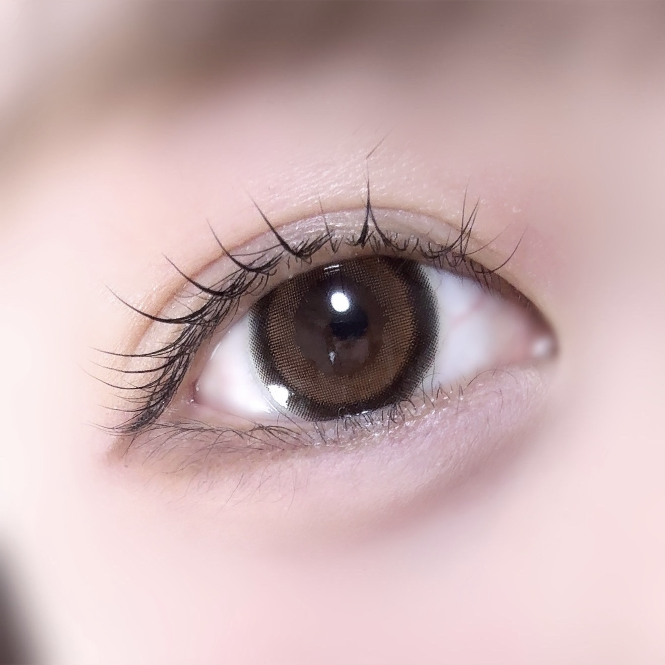 ポアレスチーク 03 デイリーピーチ/CipiCipi/パウダーチークを使ったクチコミ（1枚目）