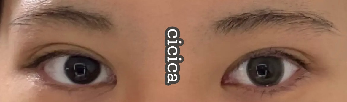 cicica 1day ベベカカオ/cicica/ワンデー（１DAY）カラコンを使ったクチコミ（1枚目）