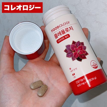 ã³ã¬ãªããžãŒãã£ãŒ/FOODOLOGY/ããªã³ã¯ã䜿ã£ãã¯ãã³ãïŒ2æç®ïŒ