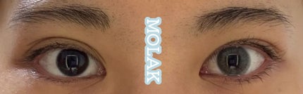 MOLAK 1day/MOLAK/ワンデー(1DAY)カラコンを使ったクチコミ(1枚目)