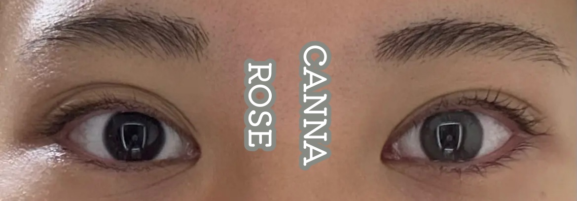 CANNA ROZE 1DAY/URIA/ワンデー（１DAY）カラコンを使ったクチコミ（1枚目）