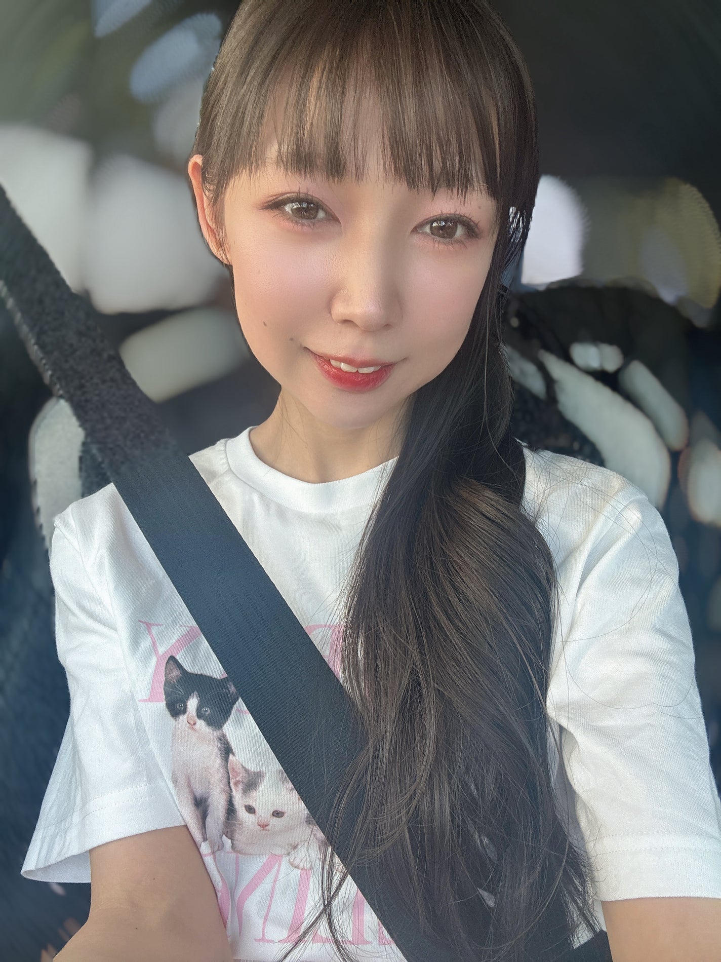 デュアルチーク/2aN/パウダーチークを使ったクチコミ(2枚目)