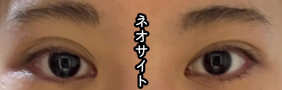 ネオサイトワンデー リングUV ブラック/Aire/ワンデー（１DAY）カラコンを使ったクチコミ（1枚目）