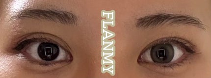 FLANMY 1day クリームマカロン/FLANMY/ワンデー(1DAY)カラコンの画像