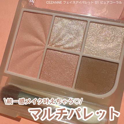 フェイスアイパレット/CEZANNE/アイシャドウを使ったクチコミ(1枚目)