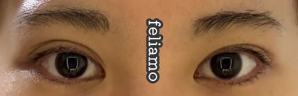 feliamo 1day コーヒーゼリー/feliamo/ワンデー(1DAY)カラコンの画像