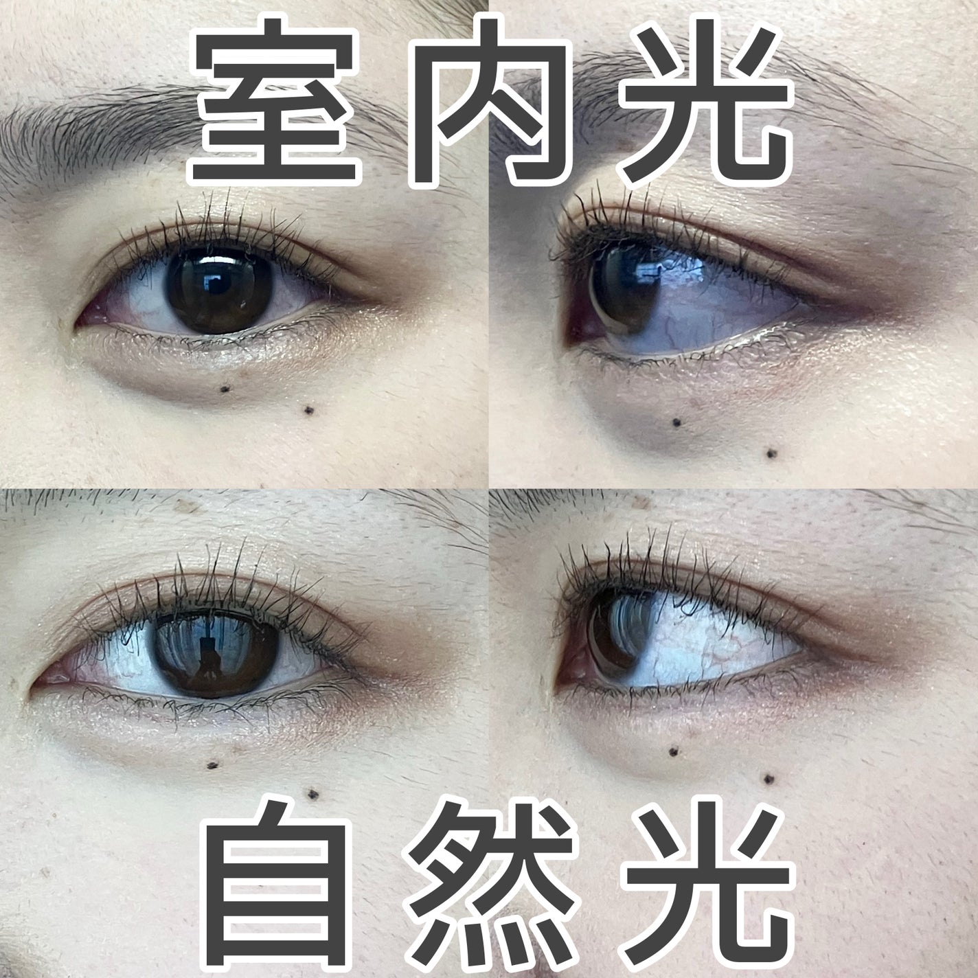 フェイスアイパレット/CEZANNE/アイシャドウを使ったクチコミ(7枚目)