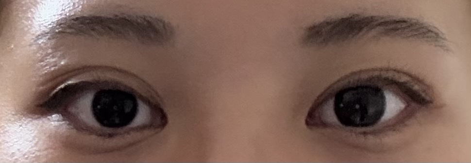 FLANMY 1day カカオワッフル/FLANMY/ワンデー（１DAY）カラコンを使ったクチコミ（3枚目）