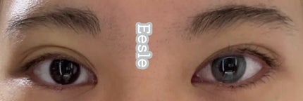 Eesle 1day ブラーグレー/URIA i-DOL/ワンデー(1DAY)カラコンの画像