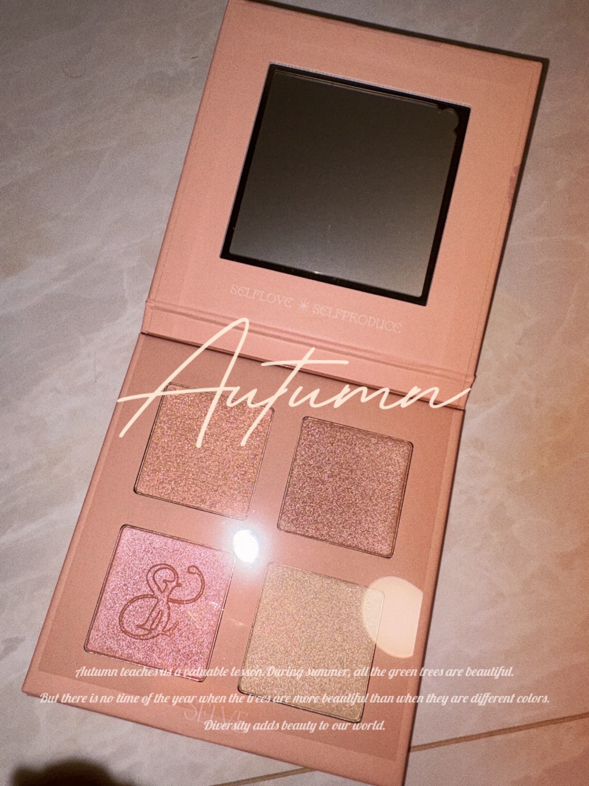 プリズムショットマルチハイライトパレット 01 ブロッサムピーチ/SELVE/パウダーハイライトを使ったクチコミ（1枚目）