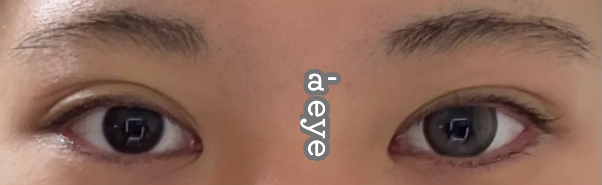 a-eye 1day ノヴァグレージュ/Refrear/ワンデー（１DAY）カラコンを使ったクチコミ（1枚目）