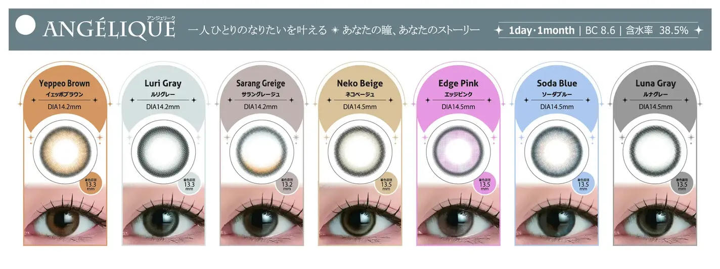 ANGÉLIQUE 1day ANGÉLIQUE