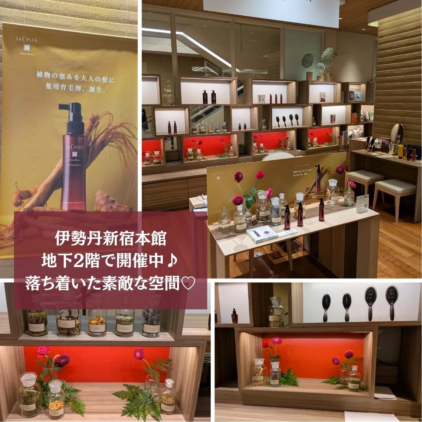 ぽ_ん on LIPS 「LaCASTAPOPUPSHOPにお邪魔してきました✨ LaC..」(2枚目)