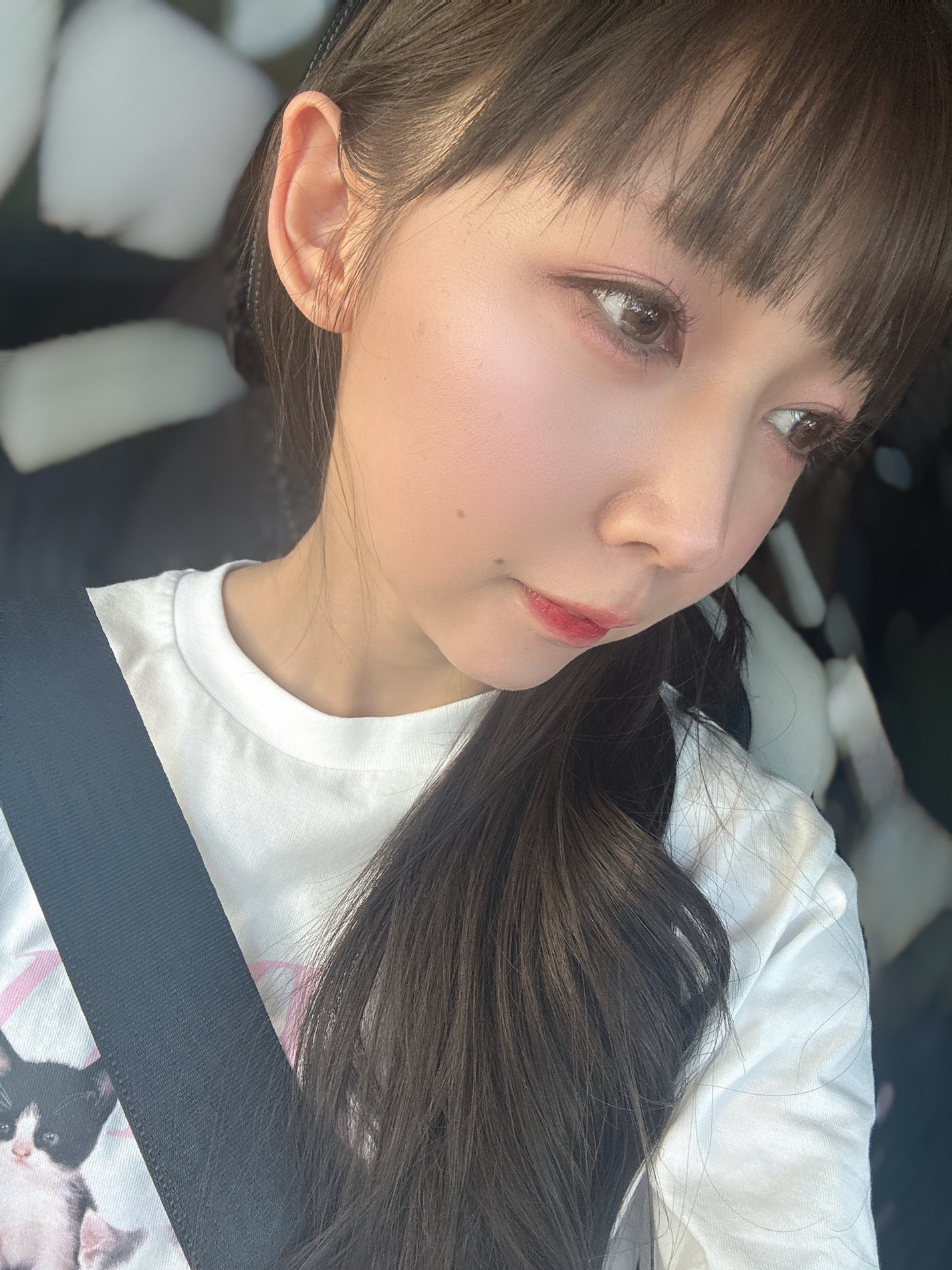 デュアルチーク/2aN/パウダーチークを使ったクチコミ(3枚目)