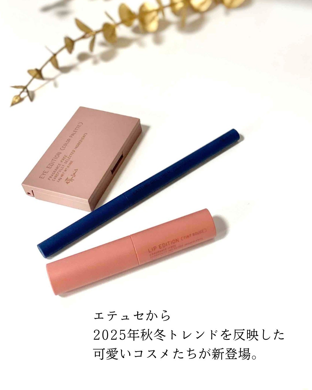 エテュセ リップエディション(ティントルージュ)/ettusais/リップティントを使ったクチコミ(2枚目)