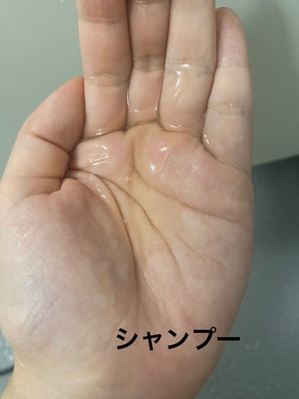 リポアシャンプー/リポアトリートメント/plus eau/市販シャンプーを使ったクチコミ(2枚目)