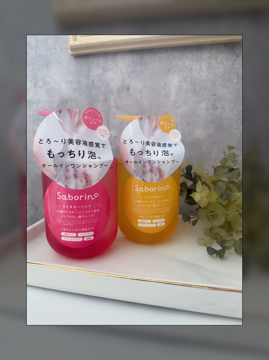 サボリーノ サボリーノ　オールインワン美容液シャンプー Kのクチコミ「サボリーノから商品提供を頂きました。

【サボリーノ オールインワン美容液シャンプー K 】🪻.....」（3枚目）