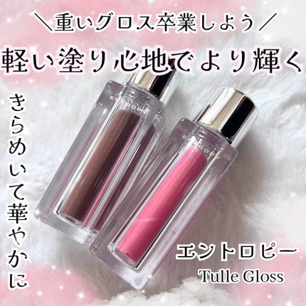 チュールグロス/ENTROPY/リップグロスを使ったクチコミ(1枚目)