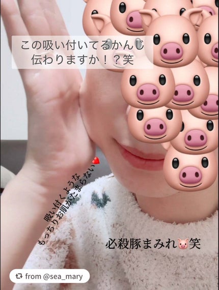 復活草PHAトナー スキンブースター/Abib /化粧水を使ったクチコミ(3枚目)