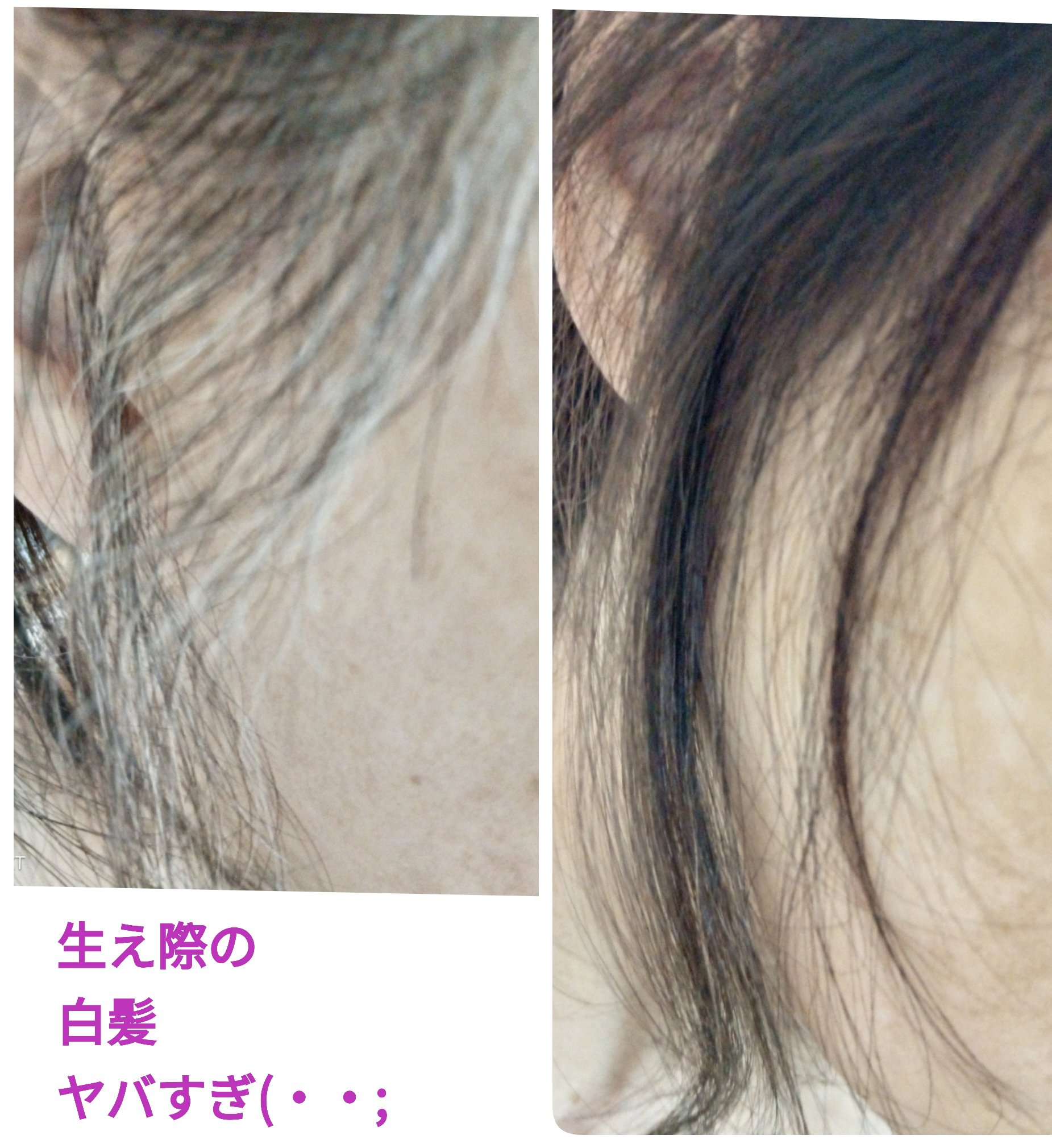 up to クリームヘアカラー/DAISO/ヘアカラーを使ったクチコミ（2枚目）