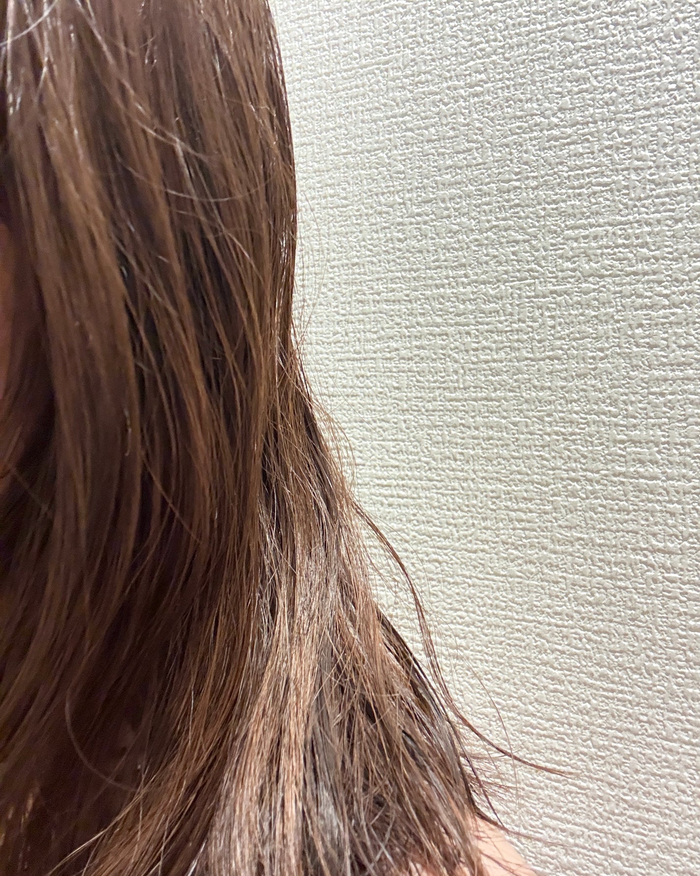 バイアウア ビール酵母シャンプー/トリートメント/by : OUR/アミノ酸シャンプーを使ったクチコミ(8枚目)