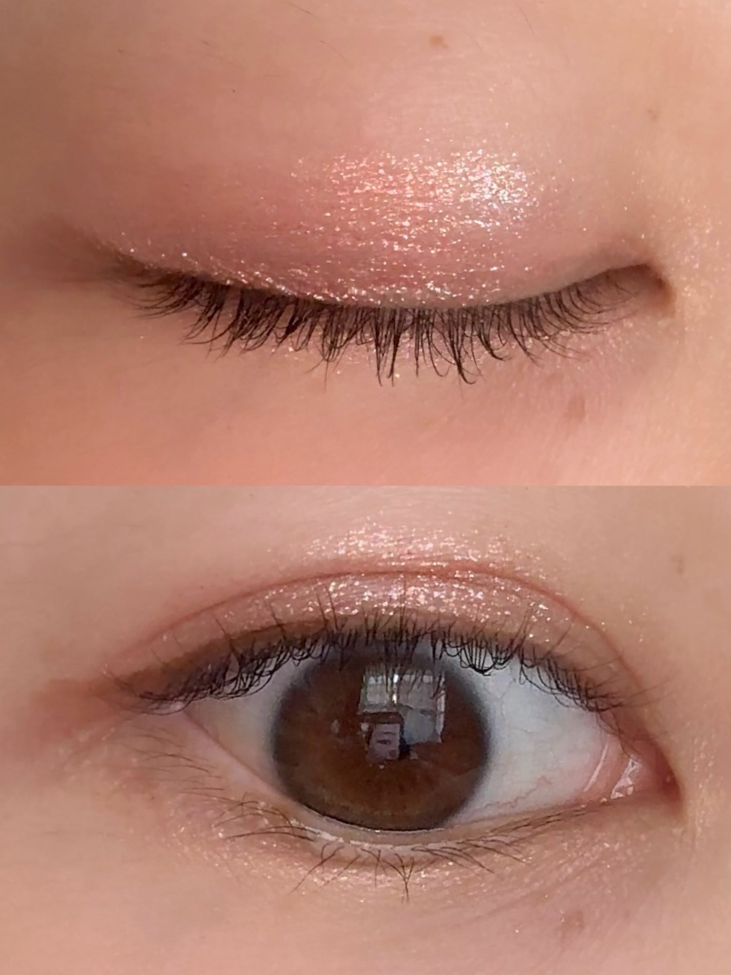 シャドウパレット/dasique/アイシャドウパレットを使ったクチコミ(2枚目)