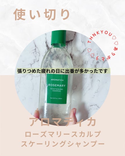 AROMATICA ローズマリースカルプスケーリングシャンプーのクチコミ「使い切りコスメ🧸🫧
アロマティカ
ローズマリースカルプスケーリングシャンプー
400ml
.....」(1枚目)
