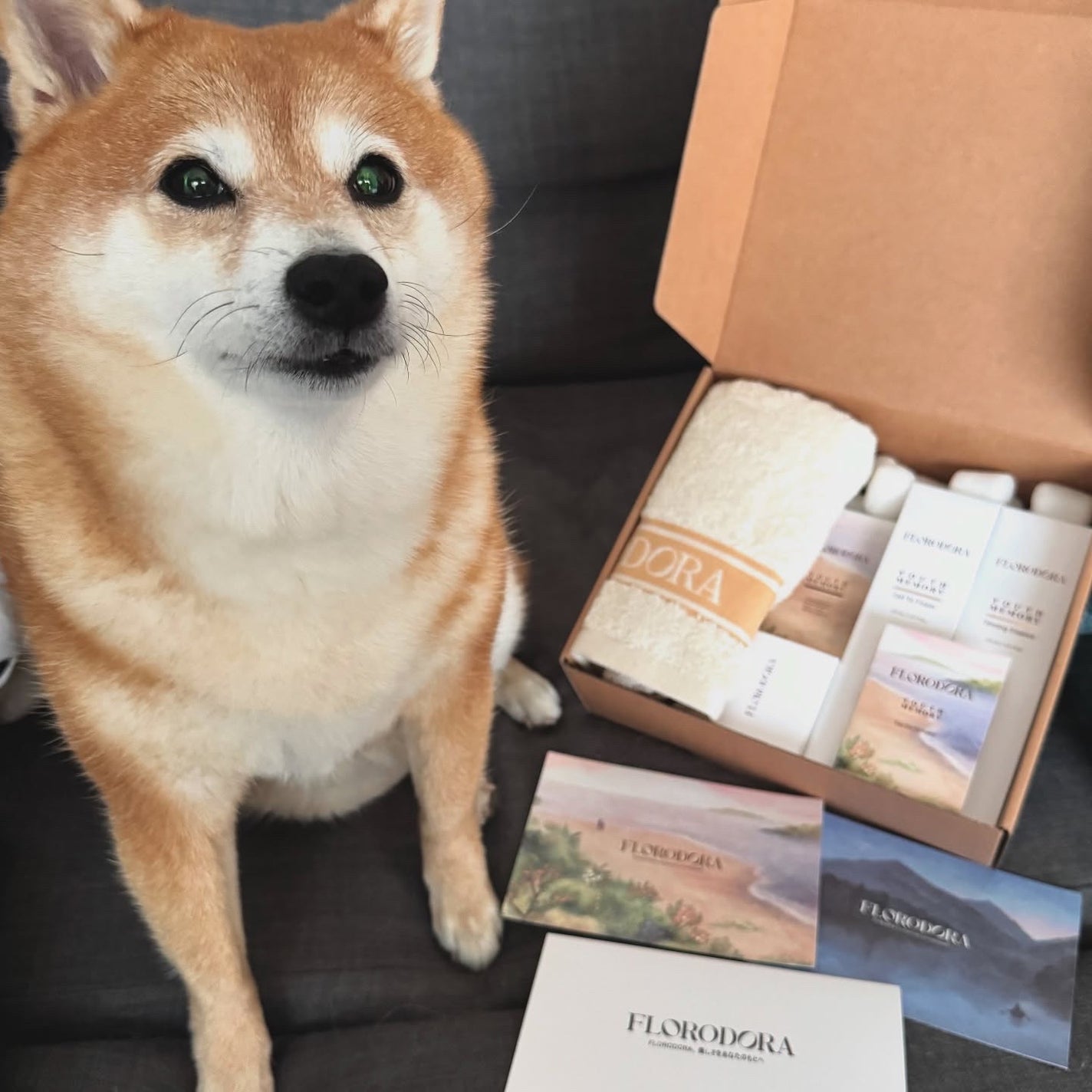 ユースメモリー リペアクリーム/Florodora/フェイスクリームを使ったクチコミ(1枚目)