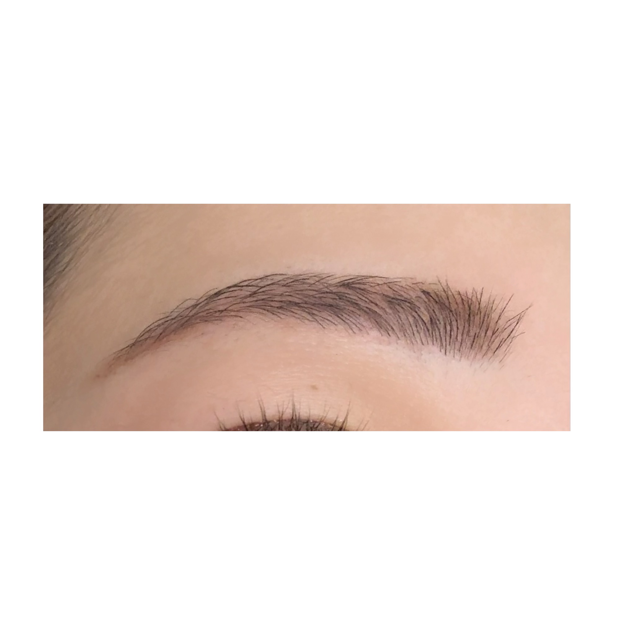 ノーズ＆アイブロウパウダー/CEZANNE/パウダーアイブロウを使ったクチコミ（2枚目）