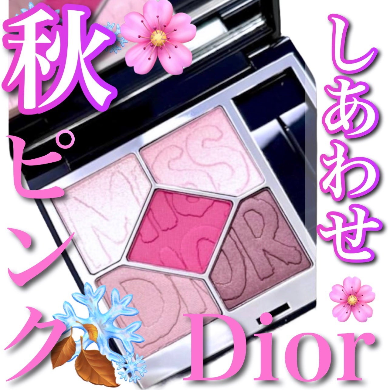 ディオールショウ サンク クルール(ミス ディオール コレクション 限定品)/Dior/アイシャドウを使ったクチコミ(1枚目)